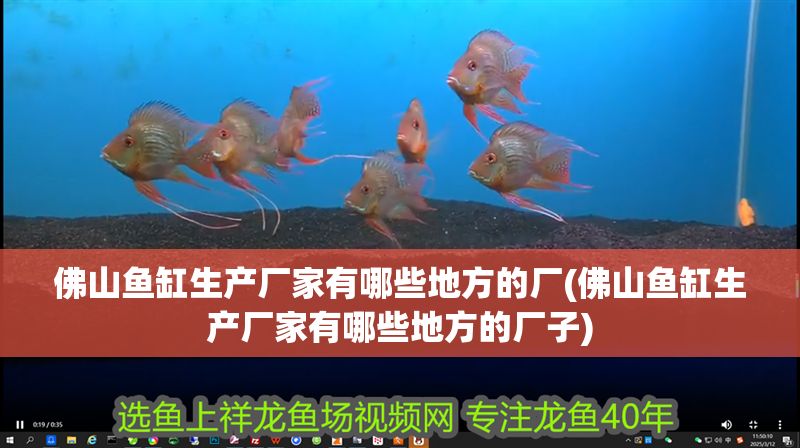 佛山魚缸生產廠家有哪些地方的廠(佛山魚缸生產廠家有哪些地方的廠子) 錦鯉魚百科 第1張 佛山魚缸生產廠家有哪些地方的廠(佛山魚缸生產廠家有哪些地方的廠子) 佛山魚缸生產廠家有哪些地方的廠(佛山魚缸生產廠家有哪些地方的廠子) 錦鯉魚百科 第1張