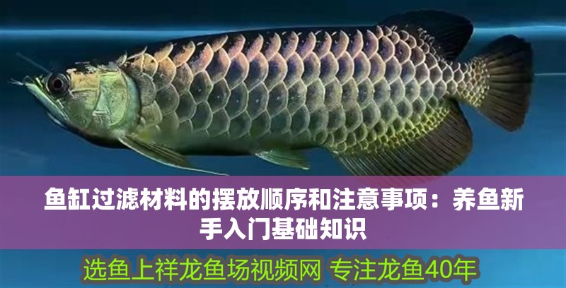 魚缸過濾材料的擺放順序和注意事項：養魚新手入門基礎知識