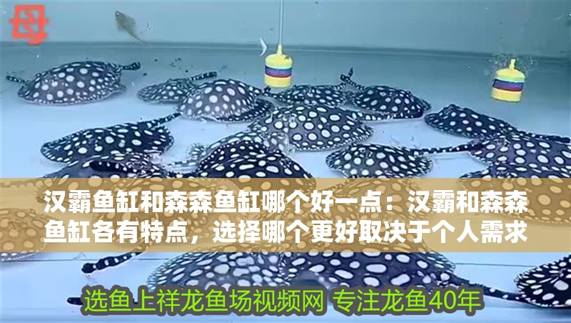 漢霸魚缸和森森魚缸哪個好一點：漢霸和森森魚缸各有特點，選擇哪個更好取決于個人需求