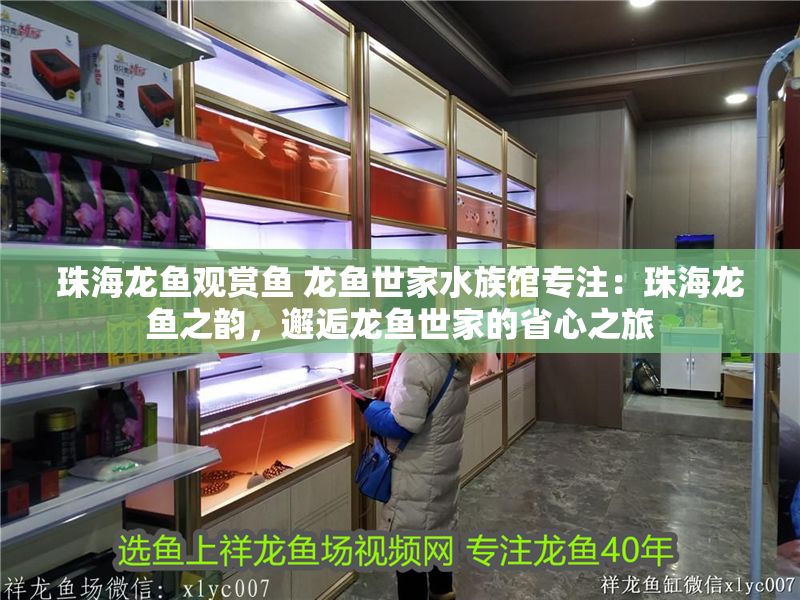 珠海龍魚觀賞魚 龍魚世家水族館專注：珠海龍魚之韻，邂逅龍魚世家的省心之旅