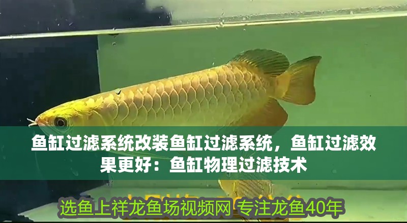 魚缸過濾系統改裝魚缸過濾系統，魚缸過濾效果更好：魚缸物理過濾技術