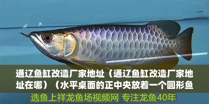 通遼魚缸改造廠家地址（通遼魚缸改造廠家地址在哪）（水平桌面的正中央放著一個圓形魚缸，其底積為30000px2） 通遼魚缸改造廠家地址（通遼魚缸改造廠家地址在哪）（水平桌面的正中央放著一個圓形魚缸，其底積為30000px2） 魚缸百科