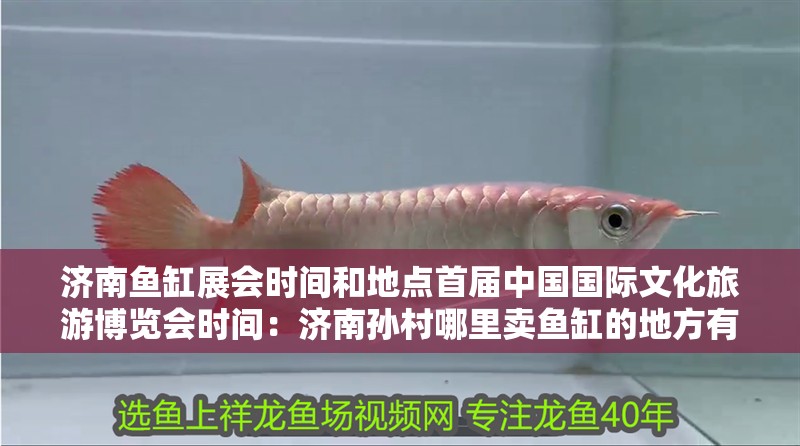 濟南魚缸展會時間和地點首屆中國國際文化旅游博覽會時間：濟南孫村哪里賣魚缸的地方有哪些？