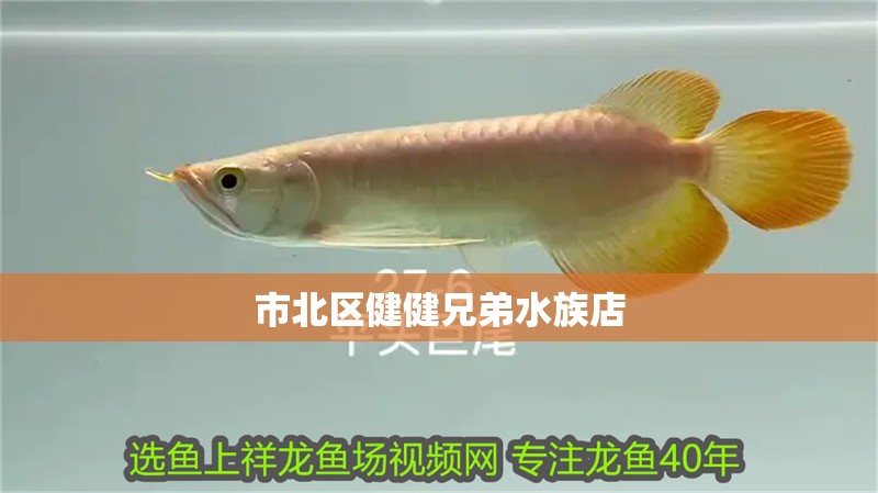 市北區(qū)健健兄弟水族店