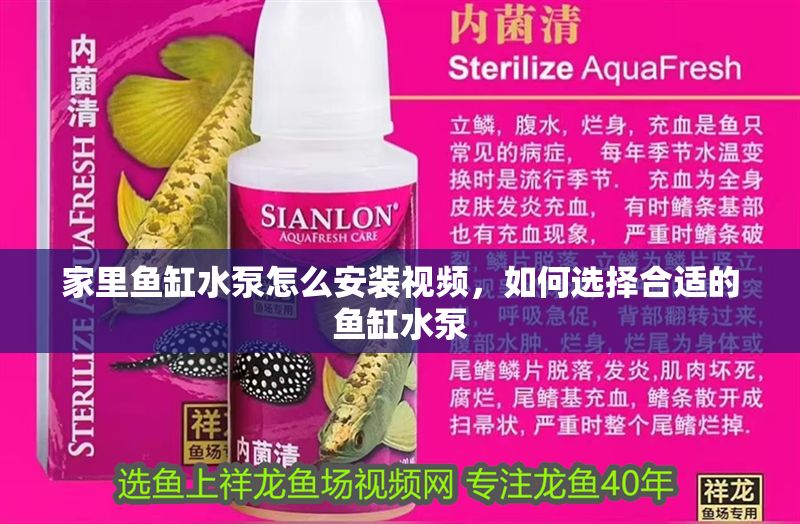 家里魚缸水泵怎么安裝視頻，如何選擇合適的魚缸水泵 家里魚缸水泵怎么安裝視頻，如何選擇合適的魚缸水泵 魚缸百科 第2張
