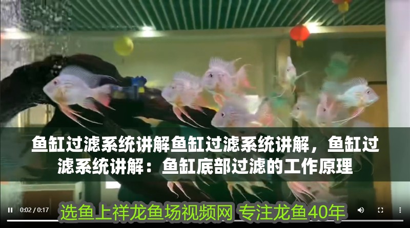 龍魚干蝦有營養嗎 魚缸過濾系統講解魚缸過濾系統講解,魚缸過濾系統講解:魚缸底部過濾的工作原理 魚缸百科 魚缸過濾系統講解魚缸過濾系統講解,魚缸過濾系統講解:魚缸底部過濾的工作原理 魚缸過濾系統講解魚缸過濾系統講解,魚缸過濾系統講解:魚缸底部過濾的工作原理 魚缸百科