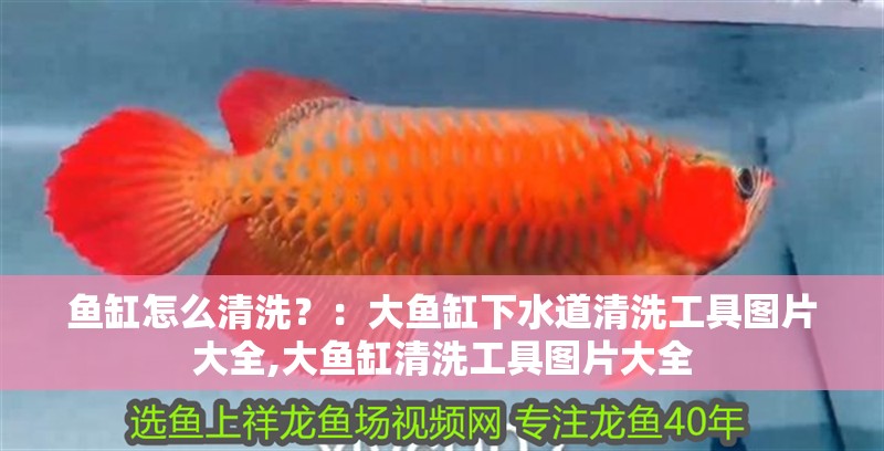 魚缸怎么清洗？：大魚缸下水道清洗工具圖片大全,大魚缸清洗工具圖片大全