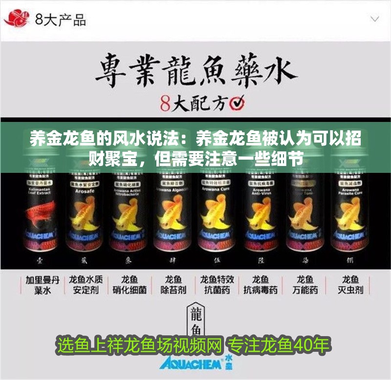 養金龍魚的風水說法：養金龍魚被認為可以招財聚寶，但需要注意一些細節
