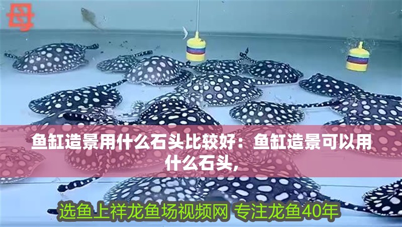 魚缸造景用什么石頭比較好：魚缸造景可以用什么石頭,