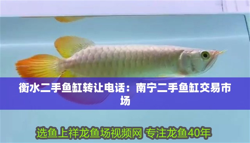 衡水二手魚缸轉讓電話：南寧二手魚缸交易市場