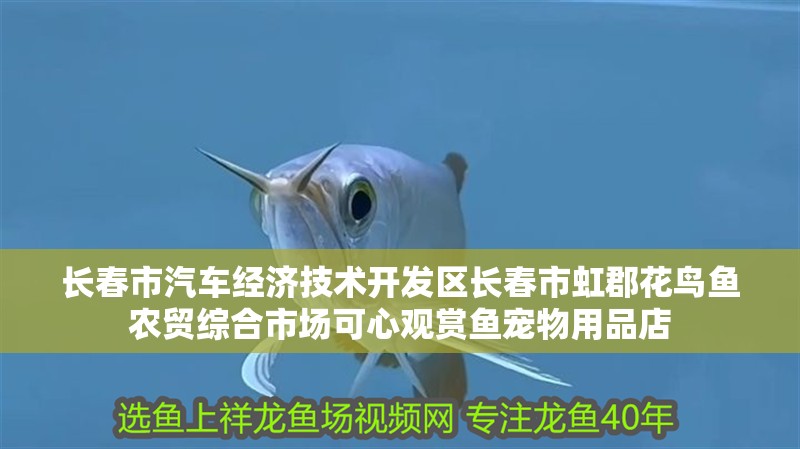 長春市汽車經濟技術開發區長春市虹郡花鳥魚農貿綜合市場可心觀賞魚寵物用品店 長春市汽車經濟技術開發區長春市虹郡花鳥魚農貿綜合市場可心觀賞魚寵物用品店 全國水族館企業名錄