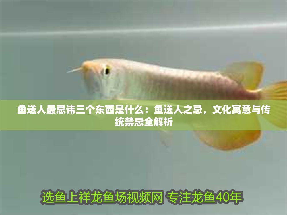 魚送人最忌諱三個東西是什么：魚送人之忌，文化寓意與傳統(tǒng)禁忌全解析 魚送人最忌諱三個東西是什么：魚送人之忌，文化寓意與傳統(tǒng)禁忌全解析 龍魚百科 第1張