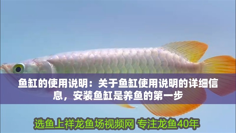 魚缸的使用說明：關于魚缸使用說明的詳細信息，安裝魚缸是養魚的第一步