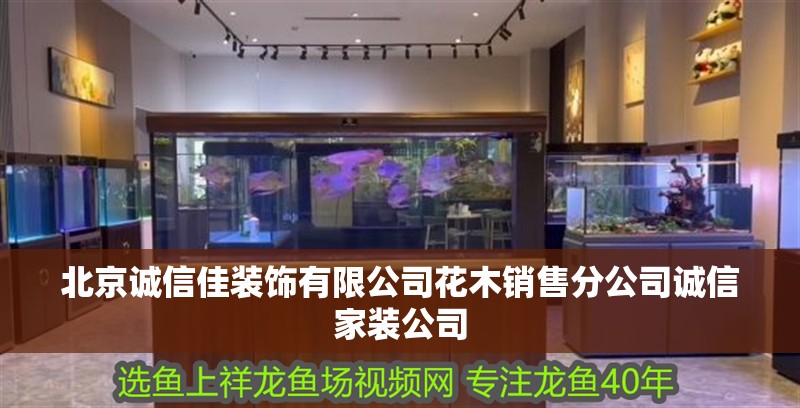 北京誠信佳裝飾有限公司花木銷售分公司誠信家裝公司 北京誠信佳裝飾有限公司花木銷售分公司誠信家裝公司 全國水族館企業(yè)名錄