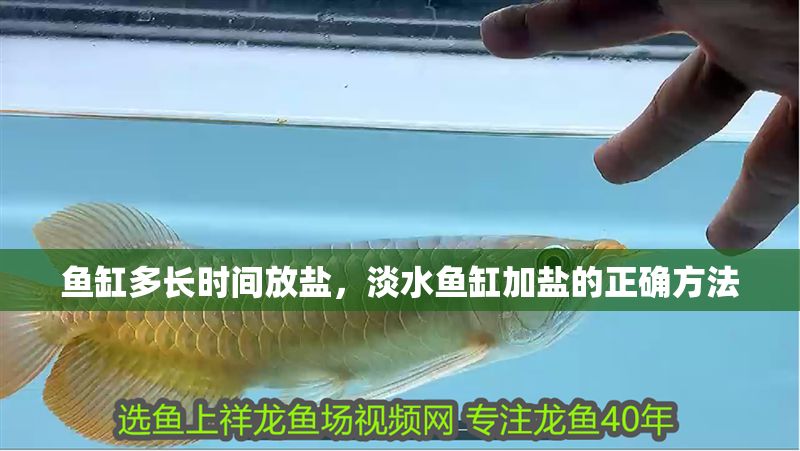 魚缸多長時間放鹽，淡水魚缸加鹽的正確方法
