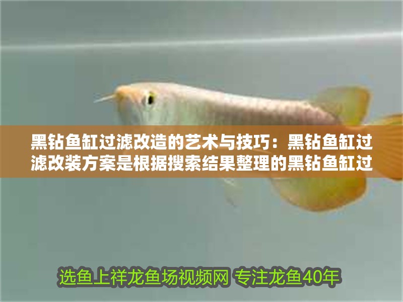 黑鉆魚缸過濾改造的藝術與技巧：黑鉆魚缸過濾改裝方案是根據搜索結果整理的黑鉆魚缸過濾改裝方案