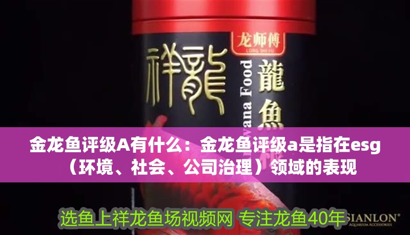 金龍魚評級A有什么：金龍魚評級a是指在esg（環(huán)境、社會、公司治理）領(lǐng)域的表現(xiàn) 金龍魚評級A有什么：金龍魚評級a是指在esg（環(huán)境、社會、公司治理）領(lǐng)域的表現(xiàn) 龍魚百科