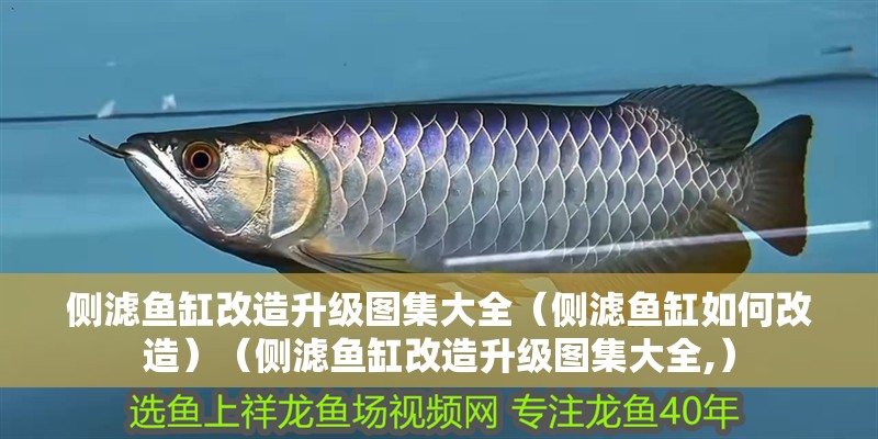 側濾魚缸改造升級圖集大全（側濾魚缸如何改造）（側濾魚缸改造升級圖集大全,）