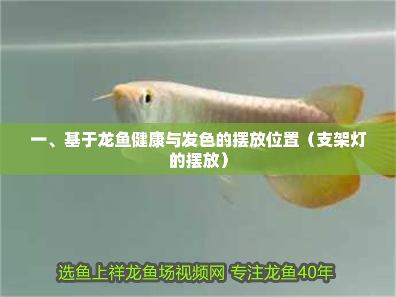 一、基于龍魚健康與發色的擺放位置（支架燈的擺放）