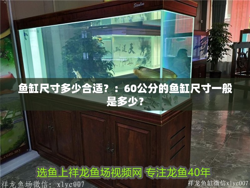 魚缸尺寸多少合適？：60公分的魚缸尺寸一般是多少？