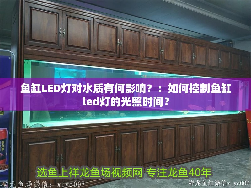 魚缸LED燈對水質有何影響？：如何控制魚缸led燈的光照時間？