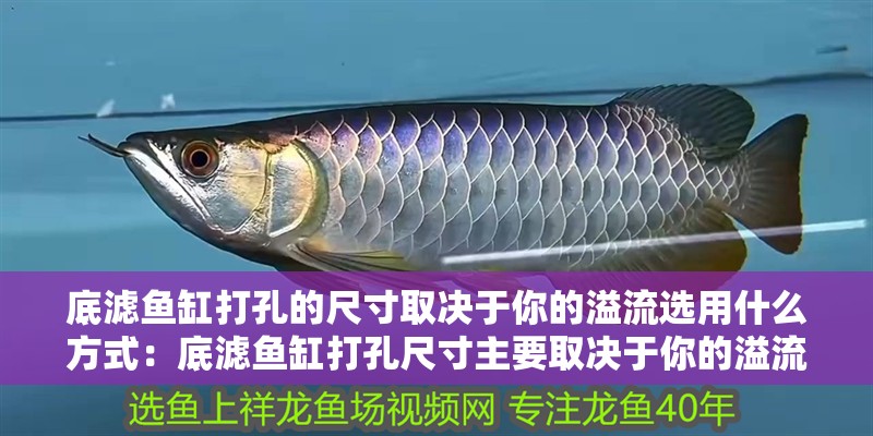 底濾魚缸打孔的尺寸取決于你的溢流選用什么方式：底濾魚缸打孔尺寸主要取決于你的溢流選用什么方式 底濾魚缸打孔的尺寸取決于你的溢流選用什么方式：底濾魚缸打孔尺寸主要取決于你的溢流選用什么方式 魚缸百科