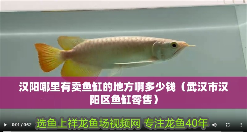 漢陽哪里有賣魚缸的地方啊多少錢（武漢市漢陽區(qū)魚缸零售）