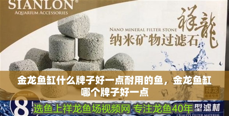 金龍魚缸什么牌子好一點(diǎn)耐用的魚，金龍魚缸哪個(gè)牌子好一點(diǎn)