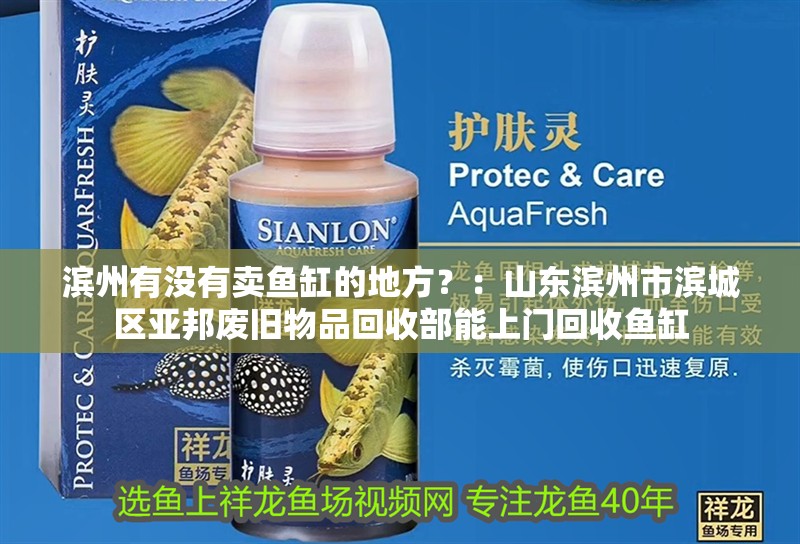 龍魚干蝦有營養嗎 濱州有沒有賣魚缸的地方?:山東濱州市濱城區亞邦廢舊物品回收部能上門回收魚缸 魚缸百科 濱州有沒有賣魚缸的地方?:山東濱州市濱城區亞邦廢舊物品回收部能上門回收魚缸 濱州有沒有賣魚缸的地方?:山東濱州市濱城區亞邦廢舊物品回收部能上門回收魚缸 魚缸百科