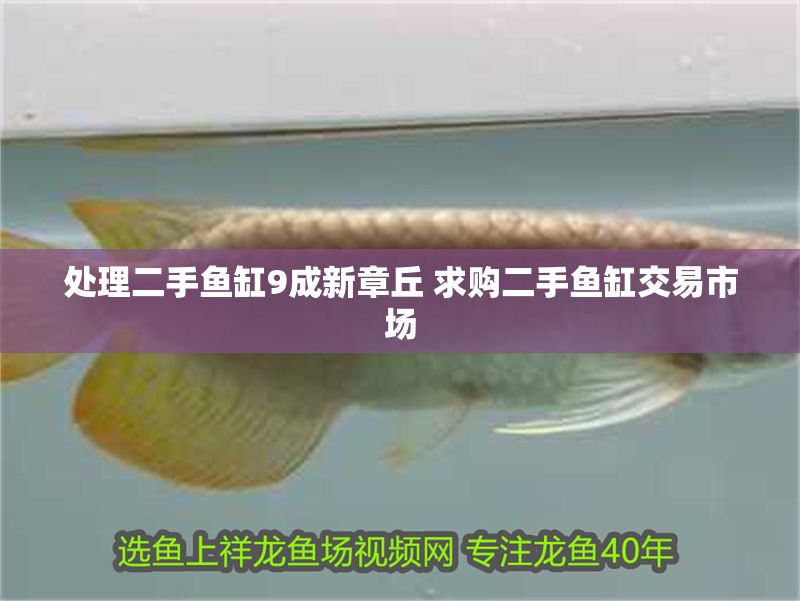 處理二手魚缸9成新章丘 求購二手魚缸交易市場