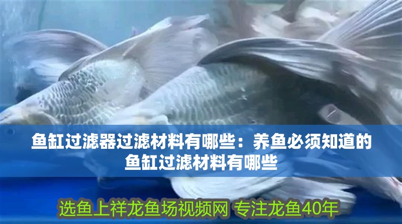 魚缸過濾器過濾材料有哪些：養魚必須知道的魚缸過濾材料有哪些 魚缸過濾器過濾材料有哪些：養魚必須知道的魚缸過濾材料有哪些 魚缸百科