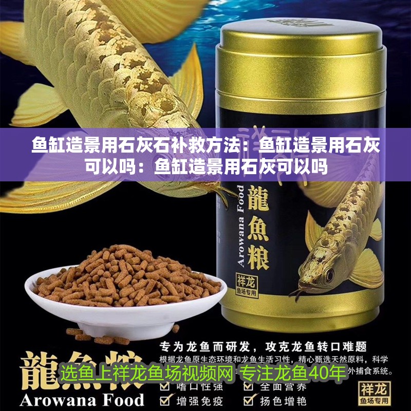 魚缸造景用石灰石補(bǔ)救方法：魚缸造景用石灰可以嗎：魚缸造景用石灰可以嗎