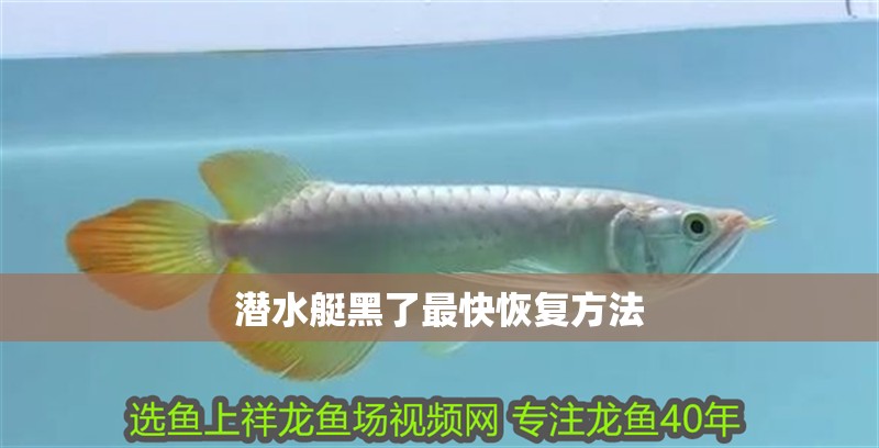 潛水艇黑了最快恢復方法 潛水艇黑了最快恢復方法 龍魚論壇