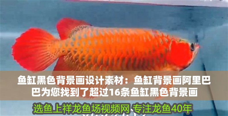 魚缸黑色背景畫設計素材：魚缸背景畫<strong><mark>阿里</mark></strong>巴巴為您找到了超過16條魚缸黑色背景畫