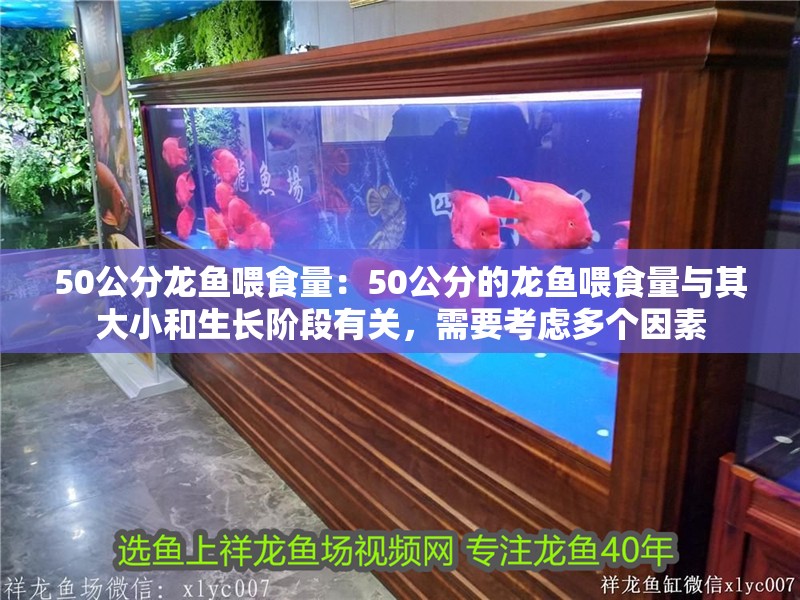 50公分龍魚喂食量：50公分的龍魚喂食量與其大小和生長階段有關，需要考慮多個因素