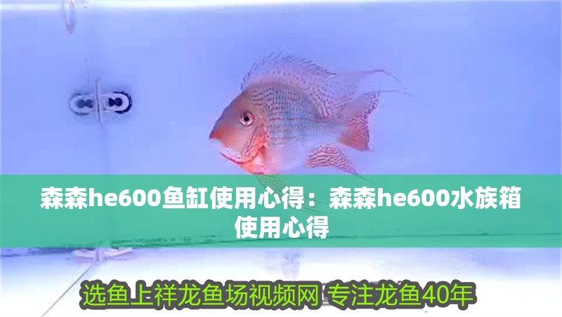 給大魚缸換水的作文:體驗給大魚缸換水的樂趣:體驗給大魚缸換水:給大魚缸換水的作文 森森h(huán)e600魚缸使用心得:森森h(huán)e600水族箱使用心得 魚缸百科 森森h(huán)e600魚缸使用心得:森森h(huán)e600水族箱使用心得 森森h(huán)e600魚缸使用心得:森森h(huán)e600水族箱使用心得 魚缸百科