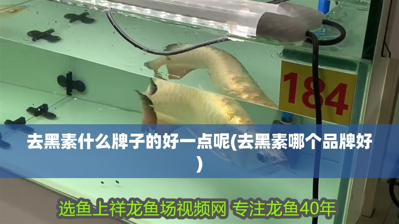 去黑素什么牌子的好一點(diǎn)呢(去黑素哪個(gè)品牌好)