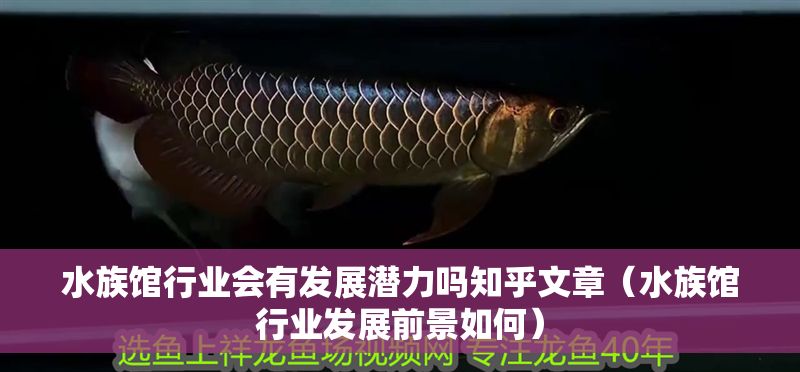 水族館行業會有發展潛力嗎知乎文章（水族館行業發展前景如何）