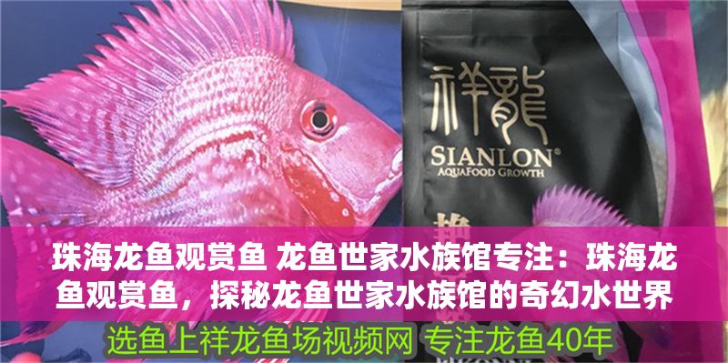 珠海龍魚觀賞魚 龍魚世家水族館專注：珠海龍魚觀賞魚，探秘龍魚世家水族館的奇幻水世界