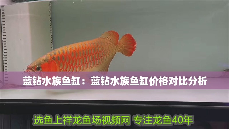 藍(lán)鉆水族魚缸：藍(lán)鉆水族魚缸價(jià)格對比分析 藍(lán)鉆水族魚缸：藍(lán)鉆水族魚缸價(jià)格對比分析 魚缸百科