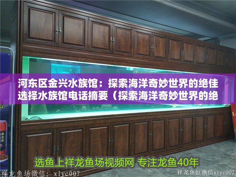 河東區(qū)金興水族館：探索海洋奇妙世界的絕佳選擇水族館電話摘要（探索海洋奇妙世界的絕佳選擇）