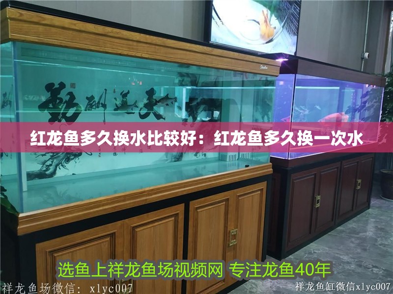 紅龍魚多久換水比較好：紅龍魚多久換一次水
