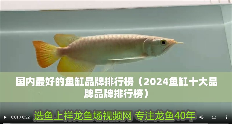 國內最好的魚缸品牌排行榜（2024魚缸十大品牌品牌排行榜）