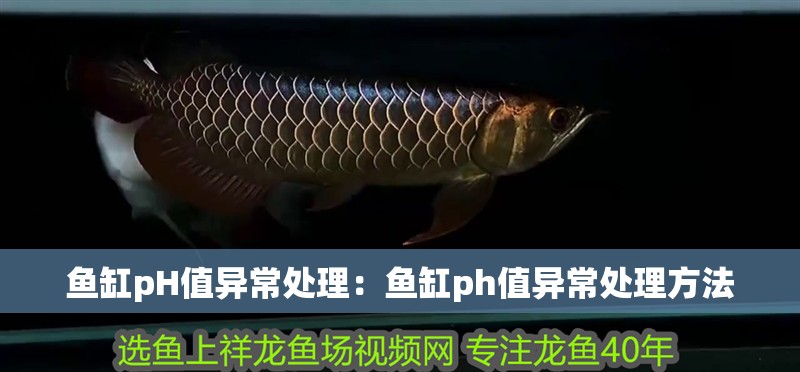 魚缸用增氧泵價格是多少:魚缸增氧機-xtrac增氧機-xtrac增氧機 魚缸pH值異常處理:魚缸ph值異常處理方法 魚缸百科 魚缸pH值異常處理:魚缸ph值異常處理方法 魚缸pH值異常處理:魚缸ph值異常處理方法 魚缸百科