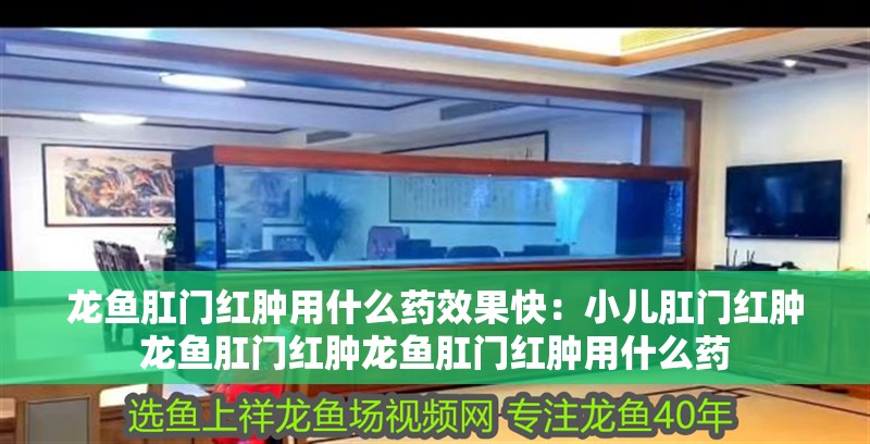 龍魚肛門紅腫用什么藥效果快：小兒肛門紅腫龍魚肛門紅腫龍魚肛門紅腫用什么藥 龍魚肛門紅腫用什么藥效果快：小兒肛門紅腫龍魚肛門紅腫龍魚肛門紅腫用什么藥 龍魚百科