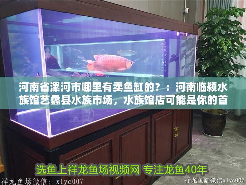 河南省漯河市哪里有賣(mài)魚(yú)缸的？：河南臨潁水族館藝蠡縣水族市場(chǎng)，水族館店可能是你的首選