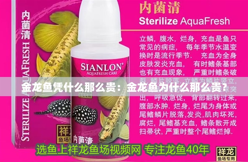 金龍魚憑什么那么貴：金龍魚為什么那么貴？