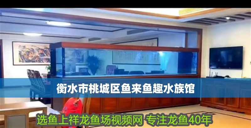 衡水市<strong><mark>桃城</mark></strong>區魚來魚趣水族館