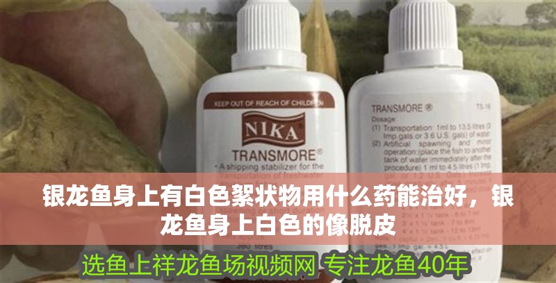 銀龍魚身上有白色絮狀物用什么藥能治好，銀龍魚身上白色的像脫皮