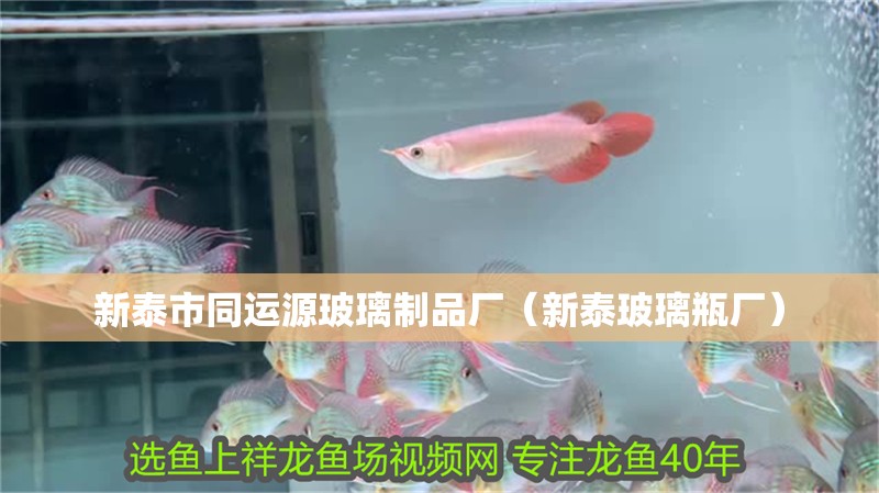 新泰市同運(yùn)源玻璃制品廠（新泰玻璃瓶廠） 新泰市同運(yùn)源玻璃制品廠（新泰玻璃瓶廠） 全國(guó)水族館企業(yè)名錄